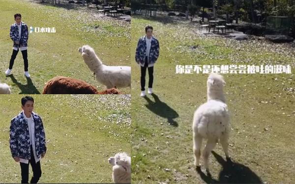 朱一龙李汶翰被明目张胆“嫌弃” 惨遭吐口水