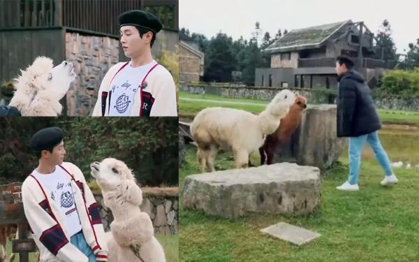 朱一龙李汶翰被明目张胆“嫌弃” 惨遭吐口水