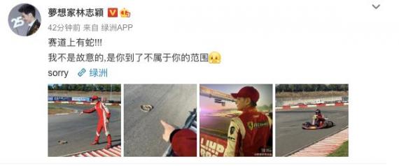 林志颖赛道上遇蛇 大胆晒合影：到了不属于你的范围