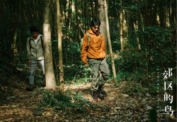 华语独立佳作《郊区的鸟》今日上映 演员邓竞首部作品引期待