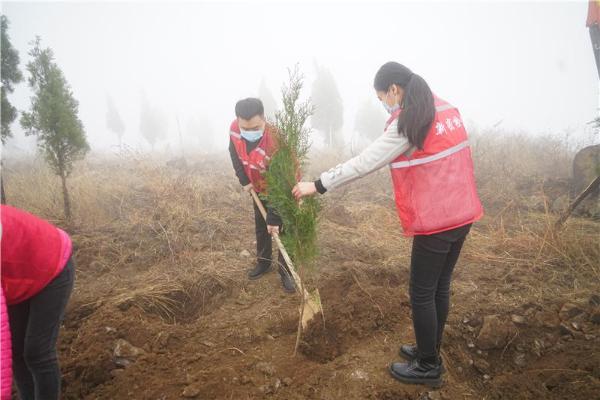 播种“绿色希望” 植出“美好明天” 新密市人民检察院开展义务植树活动