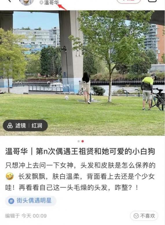 54岁王祖贤温哥华独自遛狗被偶遇 网友夸其似少女