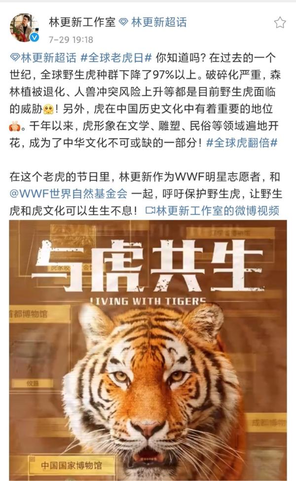 林更新为全球老虎日发声 呼吁拒绝消费虎制品