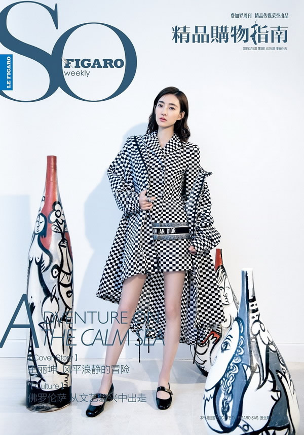 王丽坤登封面文艺范十足 优雅造型尽显东方美