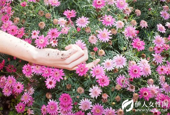 LIEBO裂帛 春夏新款如花之妖精一般一秒都不浪费的陷入花海