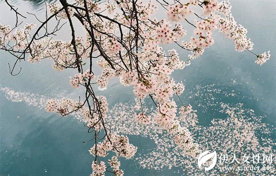 LIEBO裂帛 春夏新款如花之妖精一般一秒都不浪费的陷入花海