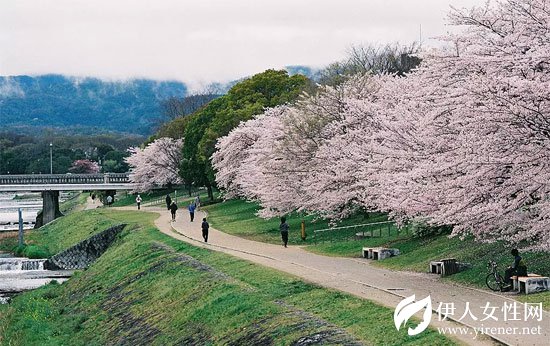 LIEBO裂帛 春夏新款如花之妖精一般一秒都不浪费的陷入花海