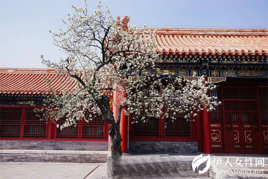 LIEBO裂帛 春夏新款如花之妖精一般一秒都不浪费的陷入花海