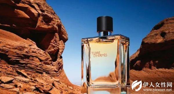 数据会说话：爱马仕为什么值得被期待