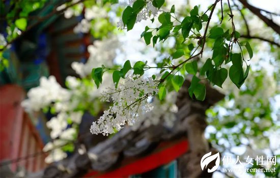 LIEBO裂帛 春夏新款如花之妖精一般一秒都不浪费的陷入花海