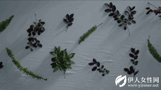 把自然穿在身上 感受草木原色抚触肌肤的生命质感