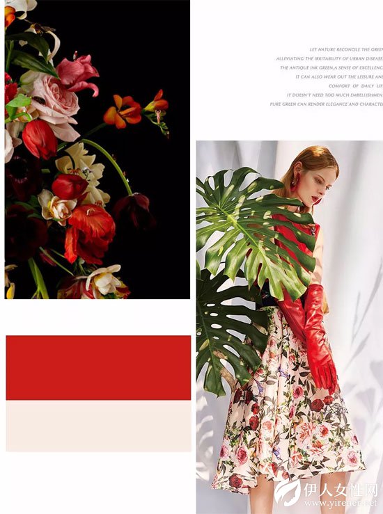 HOKABR红凯贝尔2018“红花之恋”海洋般的花海