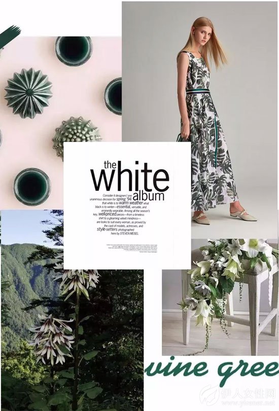 朗黛国际女装18新品'龟背竹'疏影横斜 暗香浮动