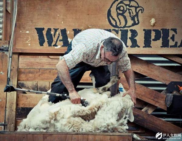 这个连Logo都没有的品牌,凭什么比耐克阿迪还贵