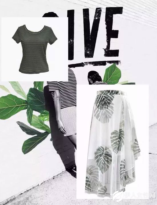 朗黛国际女装18新品'龟背竹'疏影横斜 暗香浮动