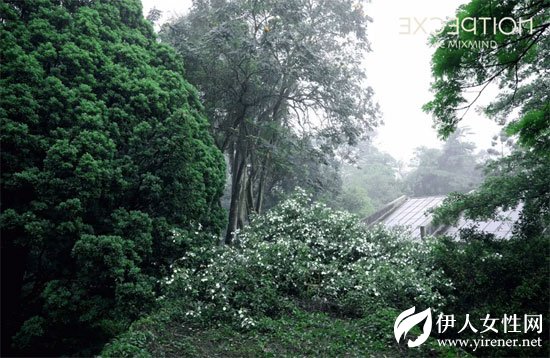 把自然穿在身上 感受草木原色抚触肌肤的生命质感