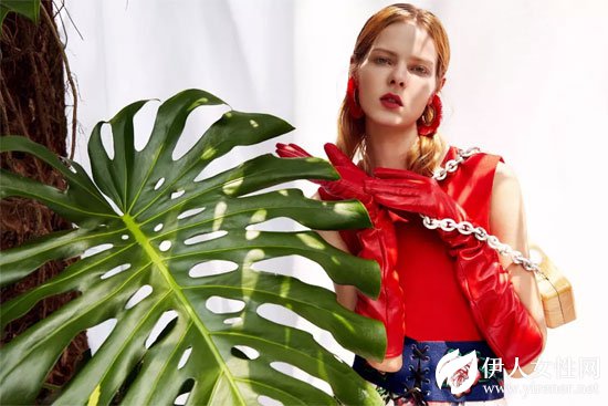 HOKABR红凯贝尔2018“红花之恋”海洋般的花海