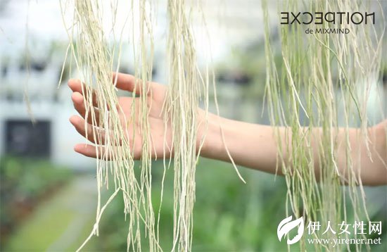 把自然穿在身上 感受草木原色抚触肌肤的生命质感