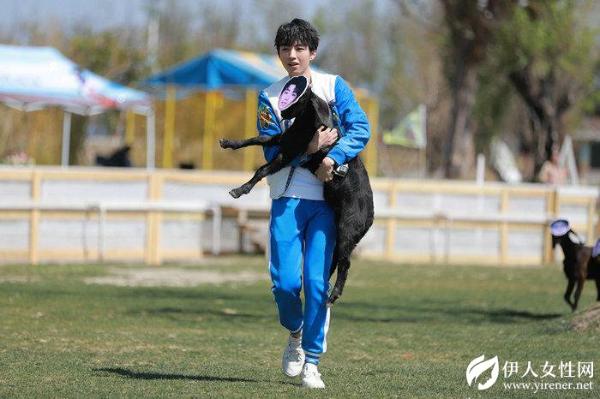 王俊凯参加综艺节目大显身手 抓羊投篮文武全才