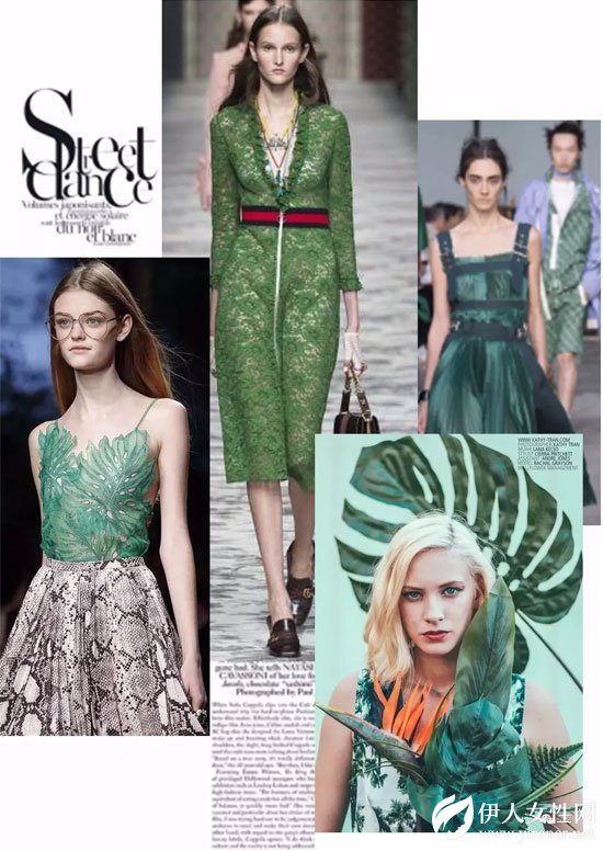 朗黛国际女装18新品'龟背竹'疏影横斜 暗香浮动