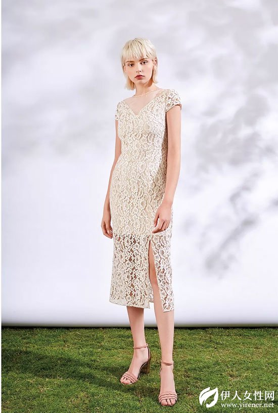 HOKABR红凯贝尔2018“红花之恋”海洋般的花海