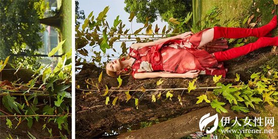 HOKABR红凯贝尔2018“红花之恋”海洋般的花海