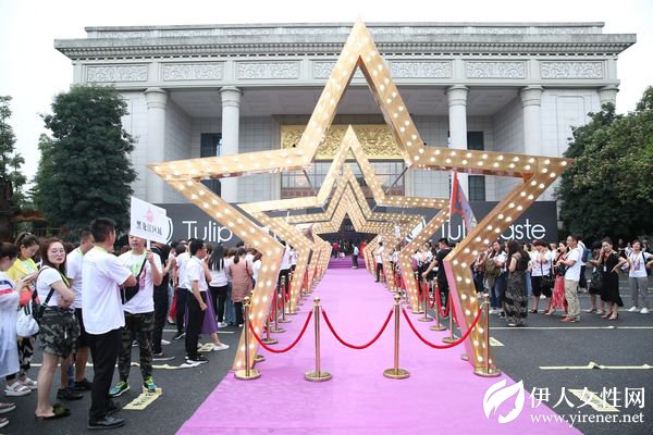 郁香菲十年向上而生 共享共创开启新篇章