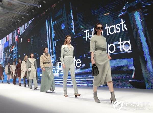 郁香菲十年向上而生 共享共创开启新篇章