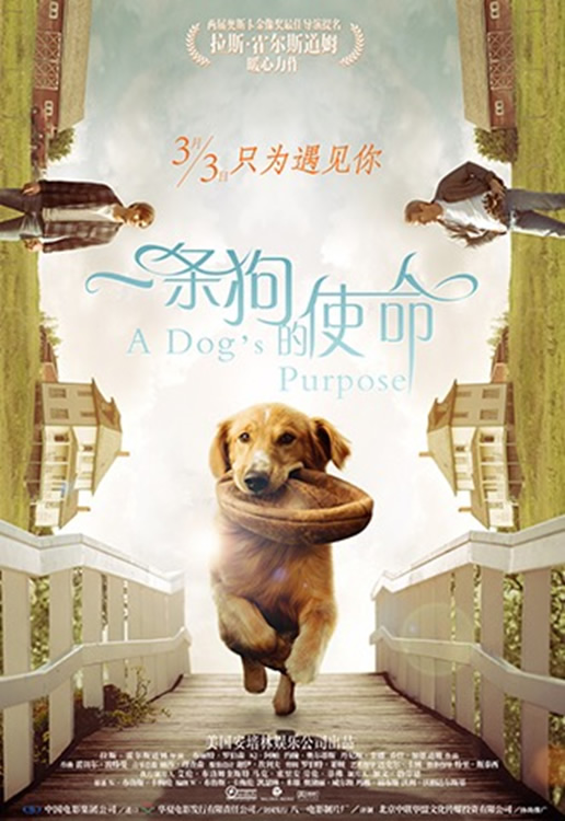 阿里影业：《一条狗的使命》续集开拍，明年5月北美上映