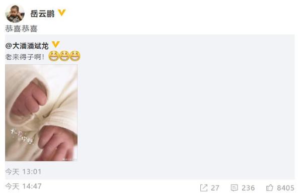 演员潘斌龙晒宝宝小手宣布喜得麟儿 岳云鹏道贺