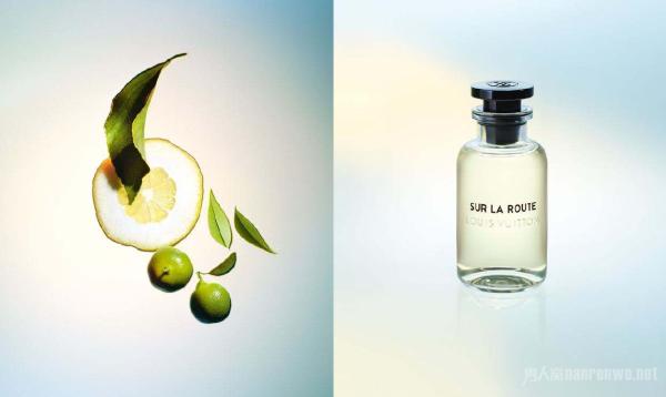顶级香水之路易威登目前市场上最贵的男士香水推荐