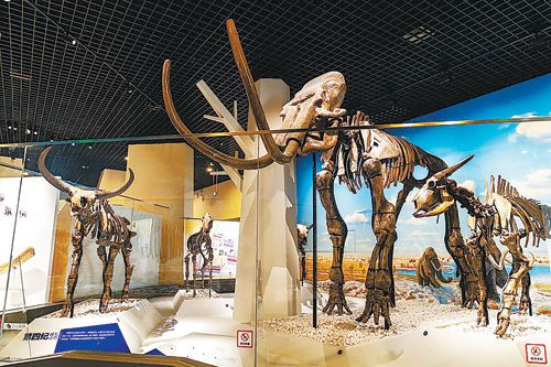 《第十二夜》 与莎翁约会在天桥