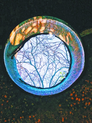 天宁1号艺术节在京举行