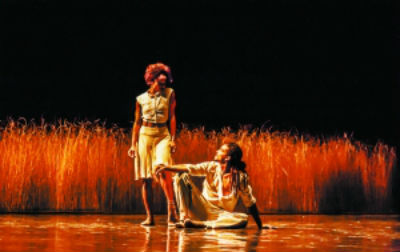 阿科斯塔舞团演绎现代舞《美景·一瞬·夜》