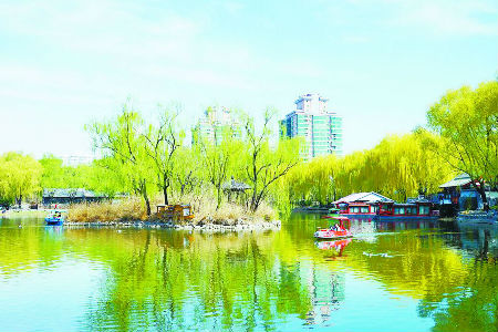 木偶剧《大闹天宫》：传承经典 再现大圣魅力