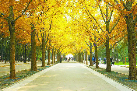 木偶剧《大闹天宫》：传承经典 再现大圣魅力