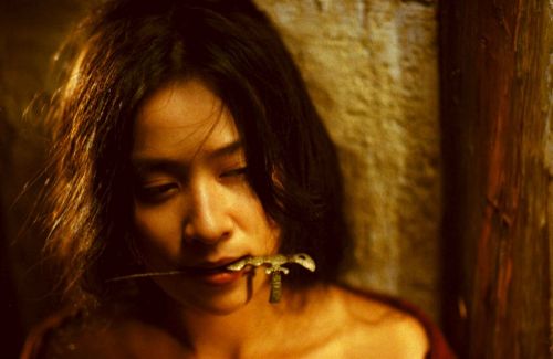 6月19日王家卫版《东邪西毒》将在台湾重映，日前曝光重映预告