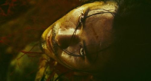 6月19日王家卫版《东邪西毒》将在台湾重映，日前曝光重映预告