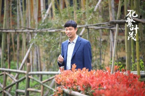 有趣有梗接地气，《花繁叶茂》解锁扶贫剧新方向