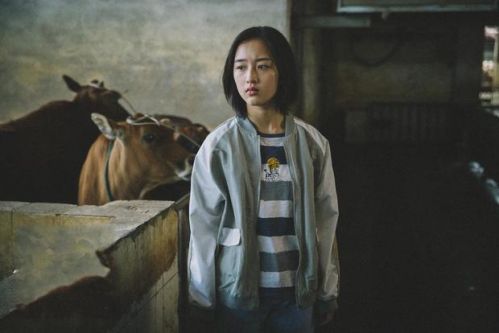 青春犯罪题材电影《少女佳禾》定档12月11日全国上映
