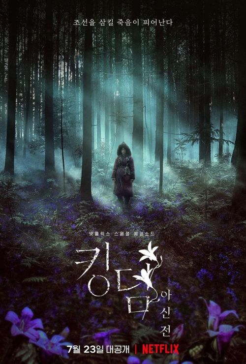 Netflix发布王国外传《王国：阿信传》新宣传海报 全智贤主演