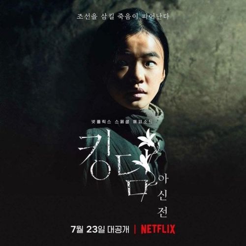 Netflix发布王国外传《王国：阿信传》新宣传海报 全智贤主演