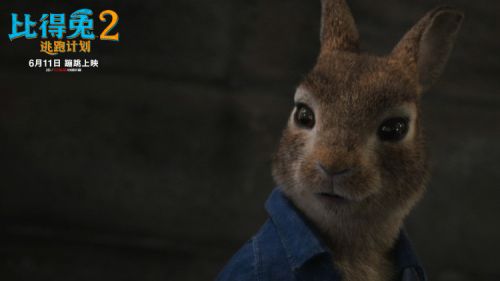 《比得兔2：逃跑计划》反派登场萌兔天团被套路 预售火热进行中