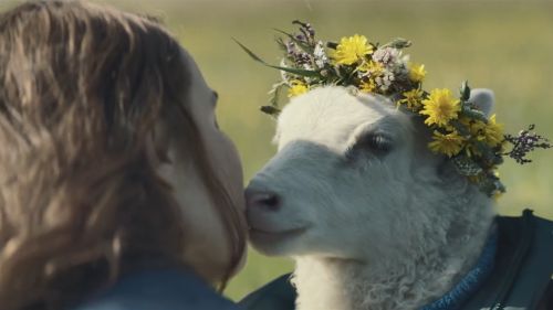 冰岛悬疑恐怖电影《羊·崽》将于10月8日北美上映