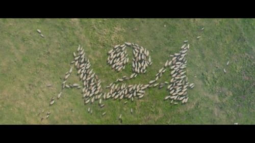A24发布悬疑恐怖片《羊崽》预告 将于10月8日正式上映