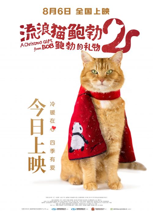 动画电影《流浪猫鲍勃2》曝上映海报，原型橘猫鲍勃银幕绝唱