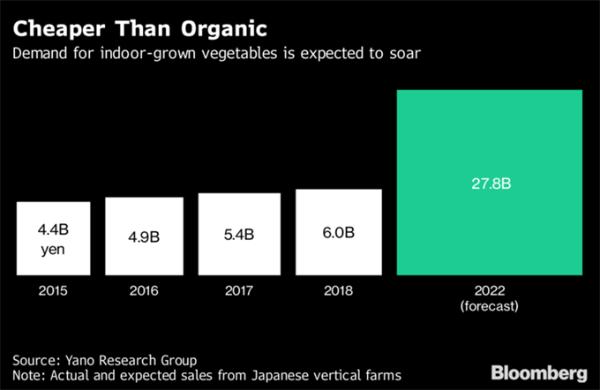 未来食物的救星？室内高层垂直农场正在全球“生根发芽”