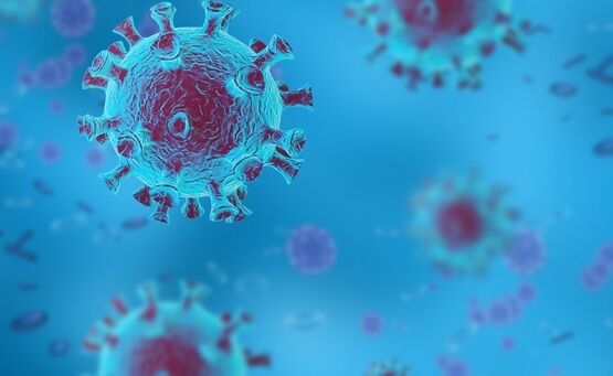 病毒适应人类？葡萄牙发现3个新冠病毒变种在传播 但并无证据表明更致命