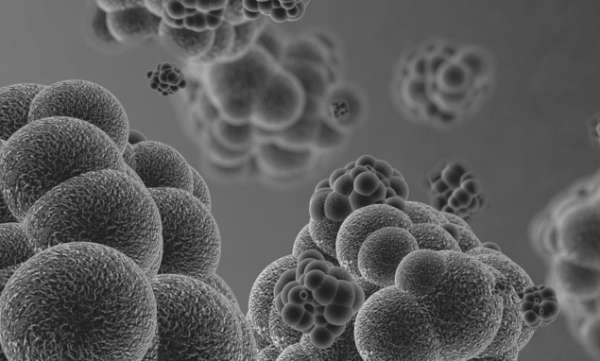 《科学》：PI3激酶导致癌细胞的瓦伯格效应，或可推动研发新疗法