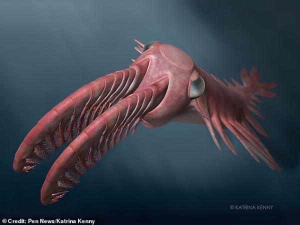 《科学》子刊：一种奇形怪状的史前动物，导致了生物进化的爆发